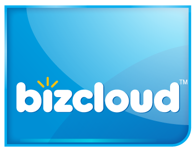 reshenie_bizcloud1