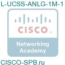 L-UCSS-ANLG-1M-1
