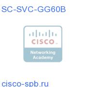 ^Cisco MWAM IOS GGSN Серия 6 Basic SC-SVC-GG60B SC-SVC-GG60B