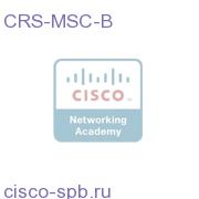 Cisco CRS-1 Modular Services Card Rev B CRS-MSC-B CRS-MSC-B