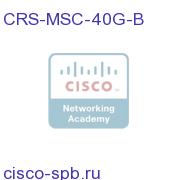 Cisco CRS-1 Серия Modular Services Card revision B 40G CRS-MSC-40G-B CRS-MSC-40G-B