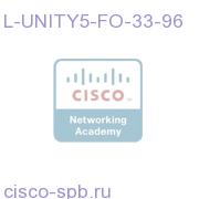 Unity Failover Server-33-96 Ports L-UNITY5-FO-33-96 L-UNITY5-FO-33-96
