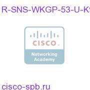 DMS Show and Share Workgroup V5.2-V5.3 Perptl SW Lic. Update R-SNS-WKGP-53-U-K9 R-SNS-WKGP-53-U-K9