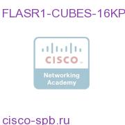 CUBE(SP) 16K Session License for ASR 1000 Серия FLASR1-CUBES-16KP= FLASR1-CUBES-16KP=