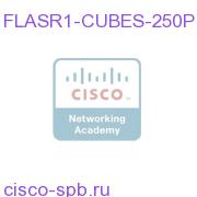 CUBE(SP) 250 Session License for ASR 1000 Серия FLASR1-CUBES-250P FLASR1-CUBES-250P