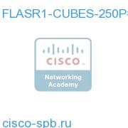 CUBE(SP) 250 Session License for ASR 1000 Серия FLASR1-CUBES-250P= FLASR1-CUBES-250P=
