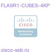 CUBE(SP) 4K Session License for ASR 1000 Серия FLASR1-CUBES-4KP FLASR1-CUBES-4KP