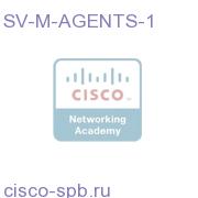StadiumVision Mobile Agents 1K License (Future) SV-M-AGENTS-1 SV-M-AGENTS-1