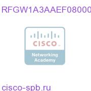 RFGW-1,3/QAM Cards,Data Octal,3/Octal Lic,2/PS,AC,EU RFGW1A3AAEF0800000 RFGW1A3AAEF0800000