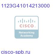 1123G41014213000