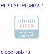 OPTION, BACKUP LICENSE, SD MPEG-2 4:2:0 MKI BD9036-SDMP2-1 BD9036-SDMP2-1