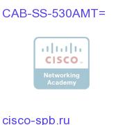 RS-530A Cable, DTE Male to Smart Serial, 10 Feet CAB-SS-530AMT= CAB-SS-530AMT=