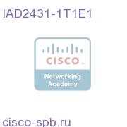 IAD2431 w/1 T1/E1 Port (PBX) and 1 T1/E1 WAN Port IAD2431-1T1E1 IAD2431-1T1E1