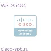 1000BASE-SX Short Wavelength GBIC (Multimode only) WS-G5484 WS-G5484