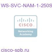 Cisco Catalyst 6500 and Cisco 7600 Network Analysis Module WS-SVC-NAM-1-250S WS-SVC-NAM-1-250S