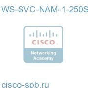 Cisco Catalyst 6500 and Cisco 7600 Network Analysis Module WS-SVC-NAM-1-250S= WS-SVC-NAM-1-250S=