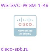 ^CISCO WIRELESS SERVICES MODULE (WISM) WS-SVC-WISM-1-K9 WS-SVC-WISM-1-K9