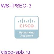Cisco 7600/Catalyst 6500 8G IPSec VPN module - DES/3DES/AES WS-IPSEC-3 WS-IPSEC-3