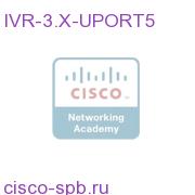 Upgrade 5 IVR 2.X Ports to 5 IVR 3.X Ports IVR-3.X-UPORT5 IVR-3.X-UPORT5