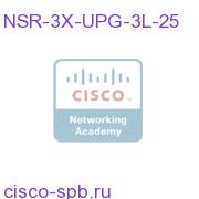 25 3rd Language Nuance 3.X ASR Ports NSR-3X-UPG-3L-25 NSR-3X-UPG-3L-25
