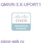 UPGrade 1 QM Port to 1 IVR Port QMIVR-3.X-UPORT1 QMIVR-3.X-UPORT1