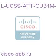 UCSS for Business Att Console for One Month ? 1 Instance L-UCSS-ATT-CUB1M-1 L-UCSS-ATT-CUB1M-1
