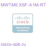 MWTM 6.1.X MI2 1M RTU License MWTM6.XSF-A1M-RT MWTM6.XSF-A1M-RT