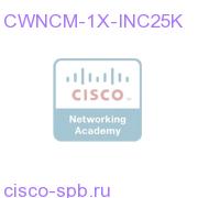 CWNCM incremental core license for 25000 managed nodes CWNCM-1X-INC25K CWNCM-1X-INC25K