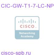 CIC Gateway Tier 1 CIC 7.3 Non-Production CIC-GW-T1-7-LC-NP CIC-GW-T1-7-LC-NP