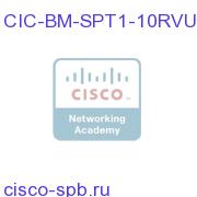 CIC BSM/SQM Tier 1 Pack of 10 RVU Add License for SP CIC-BM-SPT1-10RVU CIC-BM-SPT1-10RVU