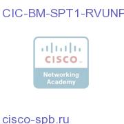 CIC BSM/SQM Tier 1 Single RVU Non-Prod Add License for SP CIC-BM-SPT1-RVUNP CIC-BM-SPT1-RVUNP