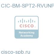 CIC BSM/SQM Tier 2 RVU Add License for SP, Non-Production CIC-BM-SPT2-RVUNP CIC-BM-SPT2-RVUNP