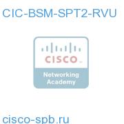 CIC BSM/SQM Tier 2 RVU License for SP CIC-BSM-SPT2-RVU CIC-BSM-SPT2-RVU