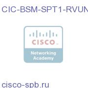 CIC BSM/SQM Tier 1 Single RVU Non-Prod License for SP CIC-BSM-SPT1-RVUNP CIC-BSM-SPT1-RVUNP