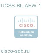 UCCS Advanced EIM + WIM1 Agent 1 Year UCSS-BL-AEW-1 UCSS-BL-AEW-1