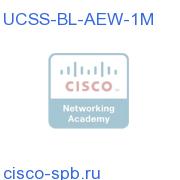 UCCS Advanced EIM + WIM1 Agent 1 Month UCSS-BL-AEW-1M UCSS-BL-AEW-1M