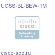 UCCS Basic EIM + WIM1 Agent 1 Month UCSS-BL-BEW-1M UCSS-BL-BEW-1M