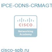 CC ENT ON DEMAND CRM AGENT LIC. - 1 MONTH-SUPPORT NOT INCL IPCE-ODNS-CRMAGT-L IPCE-ODNS-CRMAGT-L