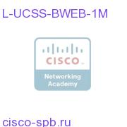 UCSS Basic Web Interaction Manager 1 Agent 1 Month L-UCSS-BWEB-1M L-UCSS-BWEB-1M