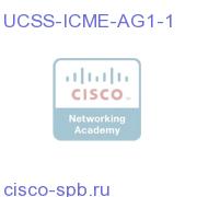 UCSS ICME Agent One Year - 1 agent UCSS-ICME-AG1-1 UCSS-ICME-AG1-1