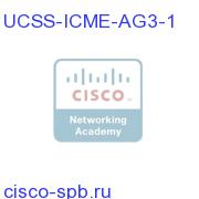 UCSS ICME Agent Three Year - 1 agent UCSS-ICME-AG3-1 UCSS-ICME-AG3-1