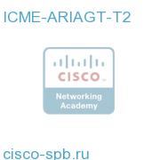 ARI Agent Licenses - Tier 2 ICME-ARIAGT-T2 ICME-ARIAGT-T2