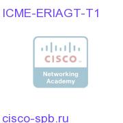 ERI Agent Licenses - Tier 1 ICME-ERIAGT-T1 ICME-ERIAGT-T1