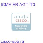 ERI Agent Licenses - Tier 3 ICME-ERIAGT-T3 ICME-ERIAGT-T3