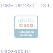ICM ENTERPRISE UPGRADE TO PREMIUM AGENT - TIER 3 ICME-UPGAGT-T3-L ICME-UPGAGT-T3-L