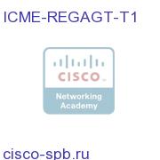 Regular ICM Agent Licenses - Tier 1 ICME-REGAGT-T1 ICME-REGAGT-T1