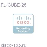 Unified Border Element Feature License - 25 Sessions FL-CUBE-25 FL-CUBE-25