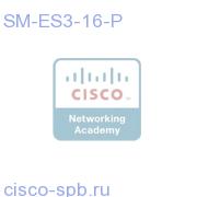 Enhcd EtherSwitch, L2/L3, SM, 15 FE, 1 GE, POE SM-ES3-16-P SM-ES3-16-P