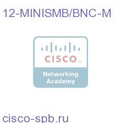 12 pair (12Tx/12Rcv) 10ft. Mini-SMB to BNC-Male 12-MINISMB/BNC-M 12-MINISMB/BNC-M