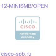 12 pair (12Tx/12Rcv) 25 meter Mini-SMB to Open-Ended cable 12-MINISMB/OPEN 12-MINISMB/OPEN